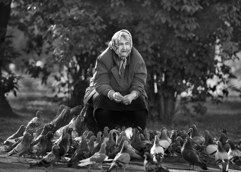 Фотографія Жінка і голуби / Halyna Tkachuk / photographers.ua