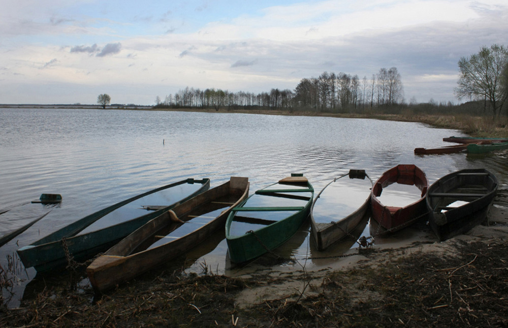 Фотографія Озеро Любязь на Волині / Halyna Tkachuk / photographers.ua