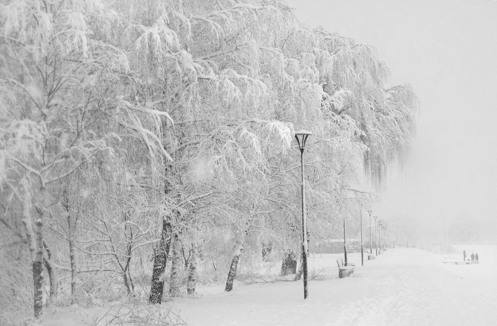 Фотографія Тиxо падає сніг / Halyna Tkachuk / photographers.ua