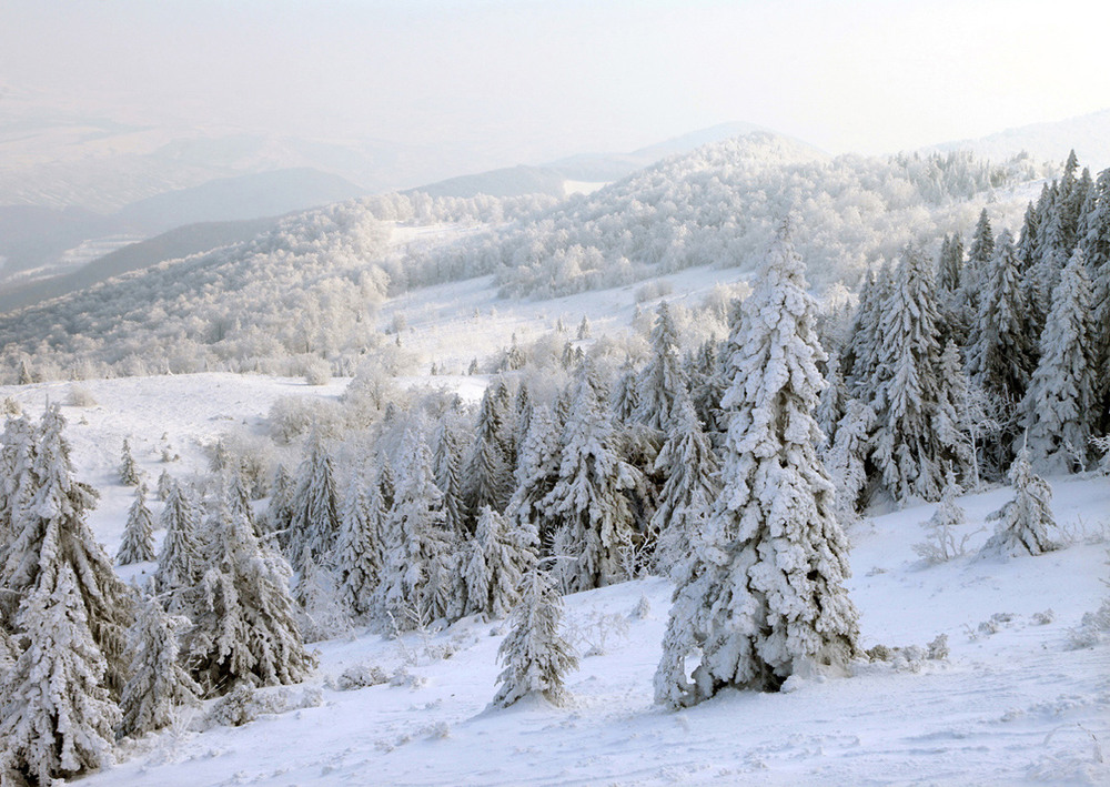 Фотографія Казкова зима.. / Halyna Tkachuk / photographers.ua
