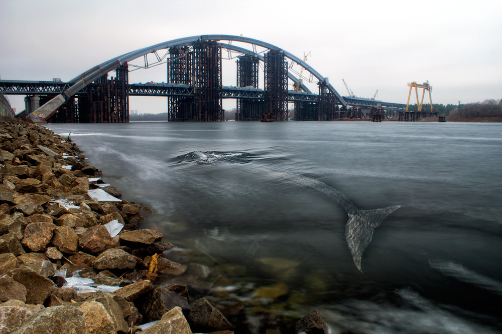 Фотографія "Loch Ness Monster" / Сергей Гурин / photographers.ua