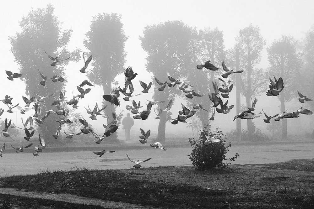 Фотографія *** / Stanislav / photographers.ua