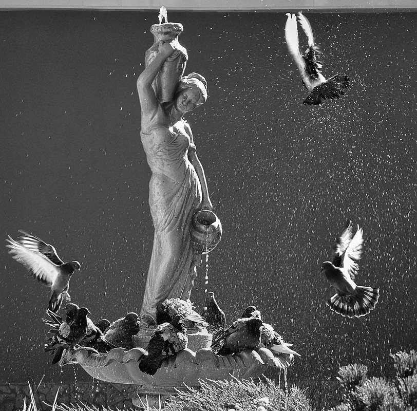 Фотографія Спека / Stanislav / photographers.ua