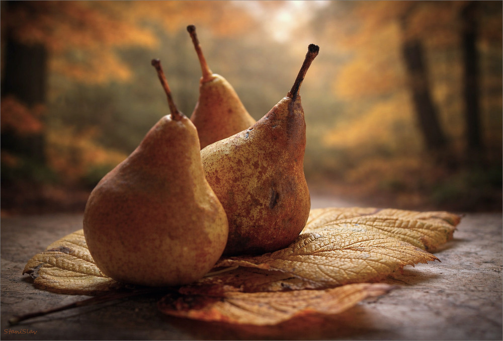 Фотографія Десерт на свіжому повітрі / Stanislav / photographers.ua