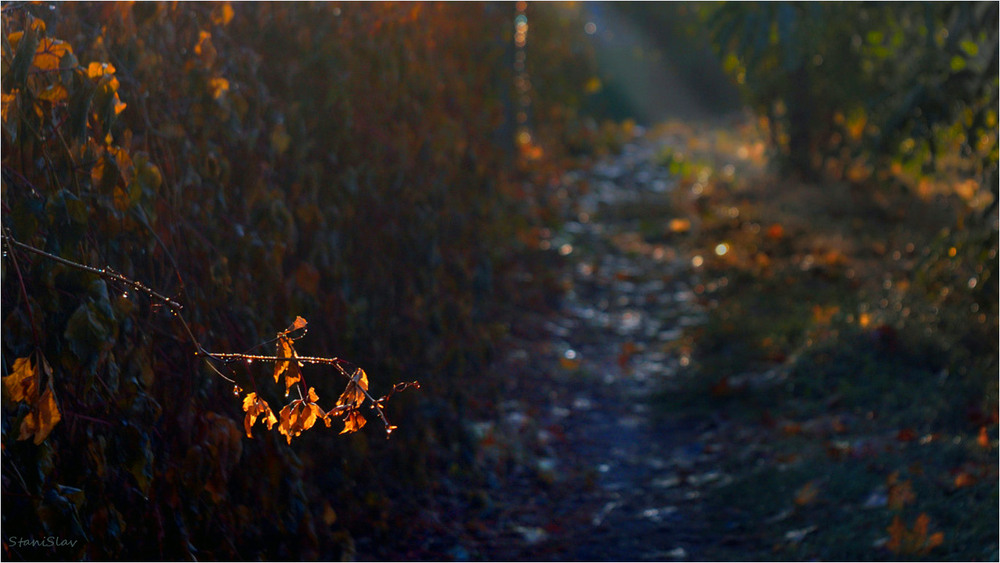 Фотографія Пейзаж / Stanislav / photographers.ua