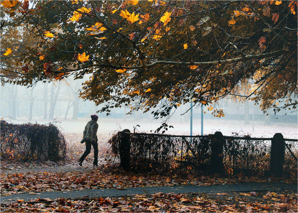 Фотографія Осінь! Ти на сум мій геть не схожа... / Stanislav / photographers.ua