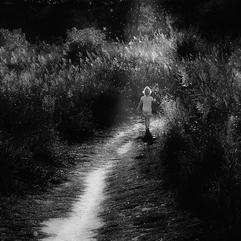 Фотографія Якщо довго йти по стежці... / Stanislav / photographers.ua