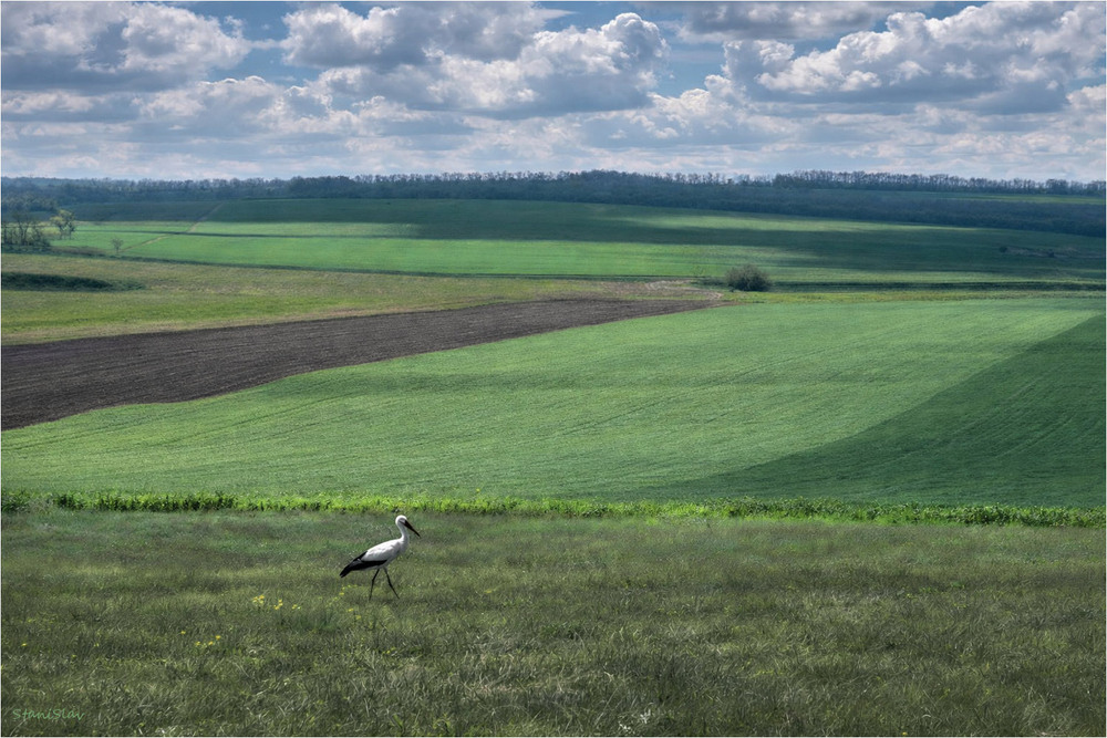 Фотографія Пейзаж / Stanislav / photographers.ua