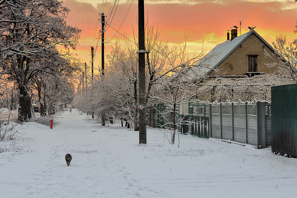Фотографія Спомин про зиму...(яка вже такою ніколи не буде) / Stanislav / photographers.ua