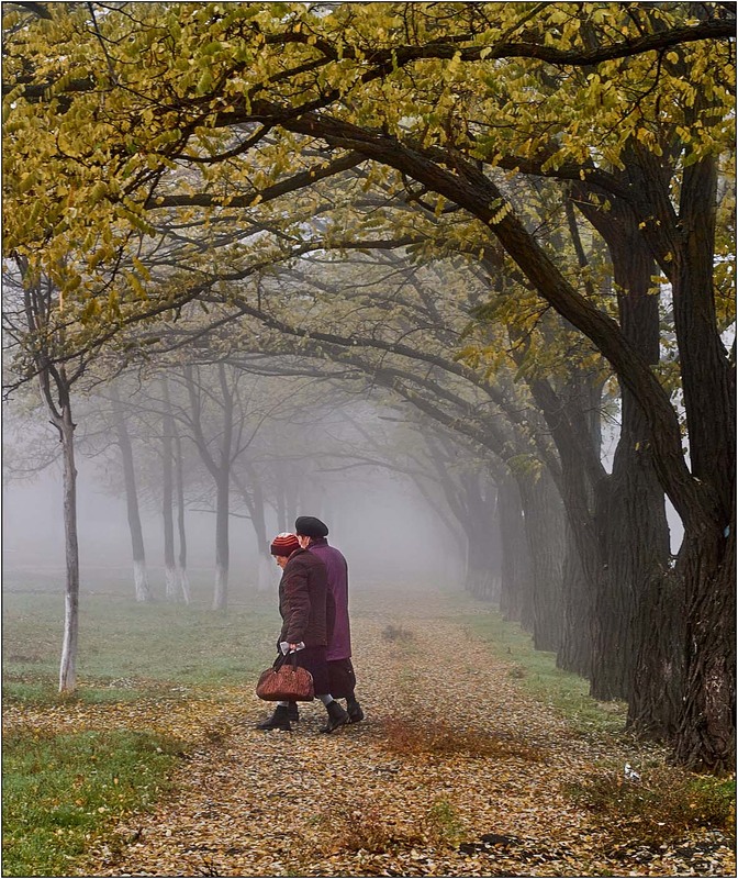 Фотографія Жанр / Stanislav / photographers.ua