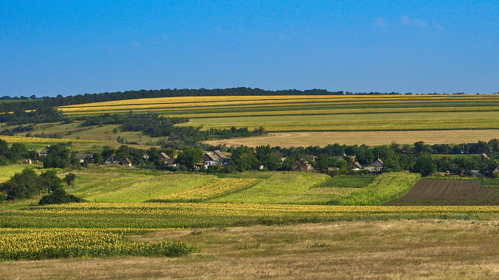 Фотографія Мирні Пятихатки 16.07.2014 / Stanislav / photographers.ua