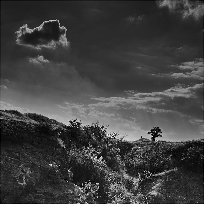 Фотографія *** / Stanislav / photographers.ua