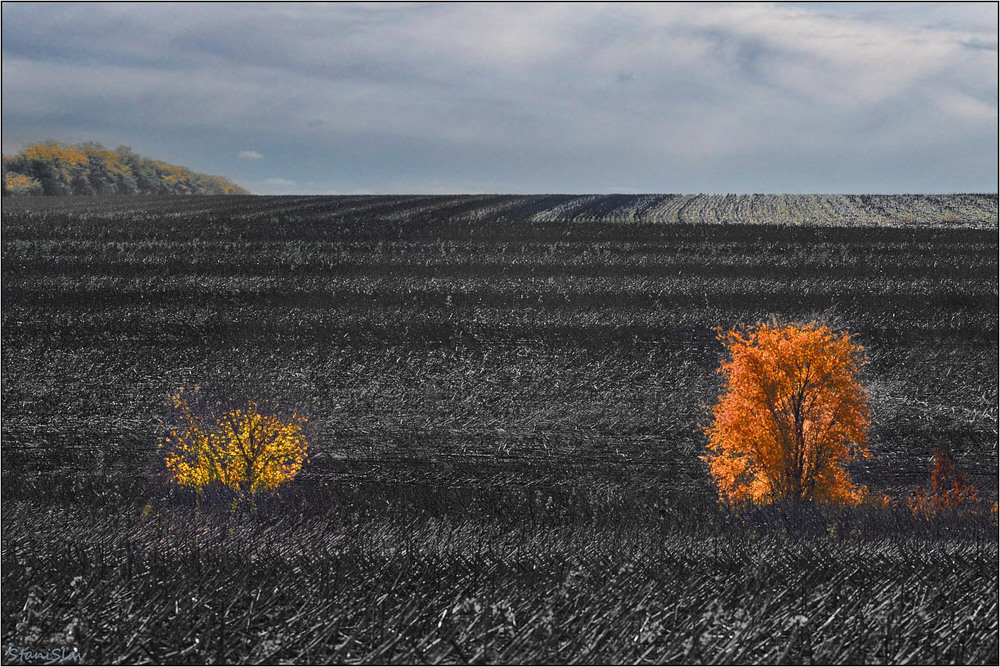 Фотографія Пейзаж / Stanislav / photographers.ua