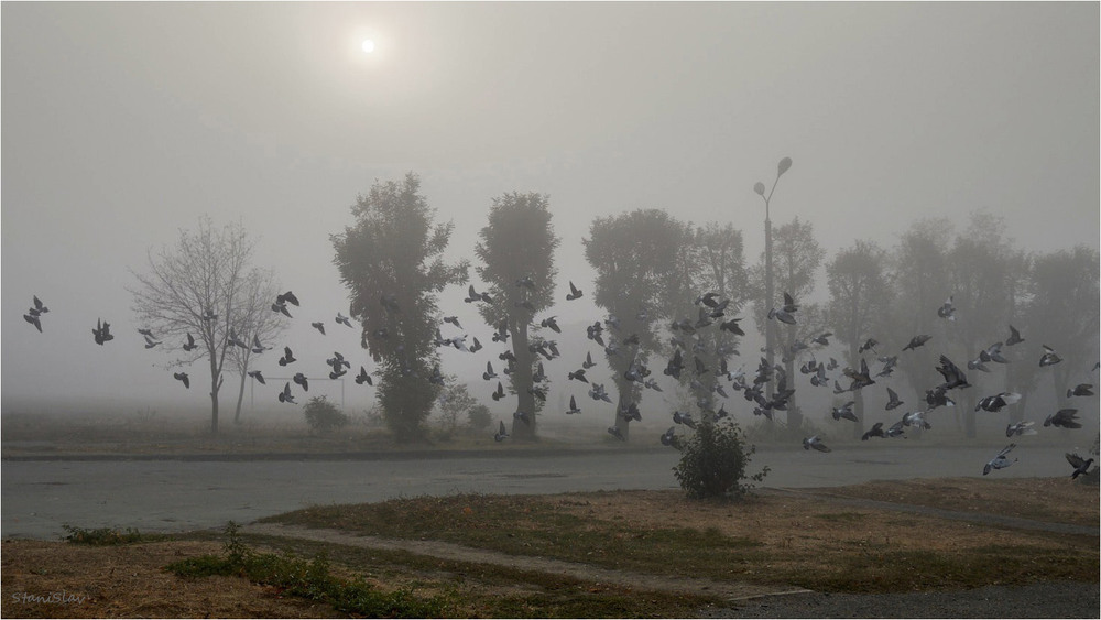 Фотографія Міські тумани... / Stanislav / photographers.ua