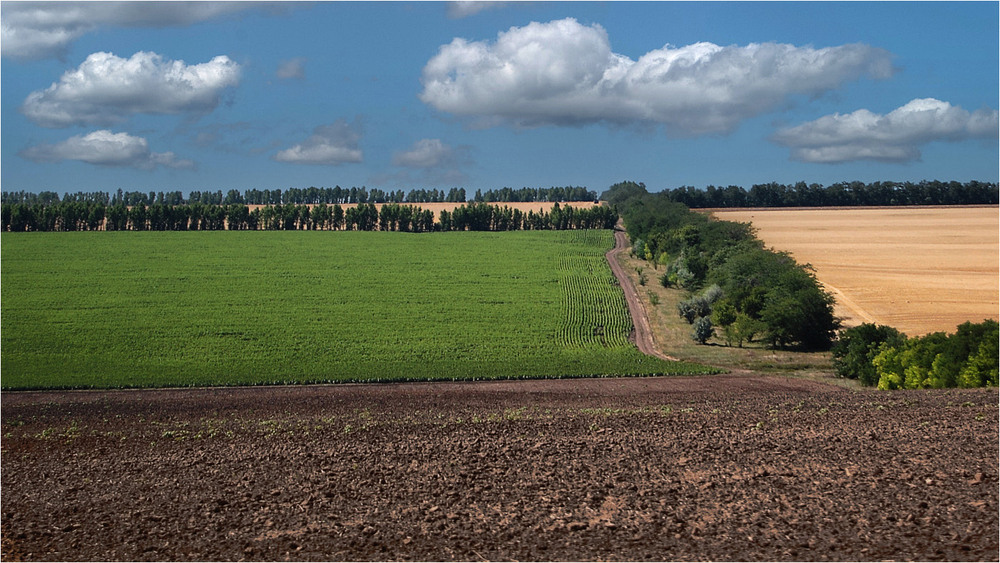 Фотографія Пейзаж / Stanislav / photographers.ua