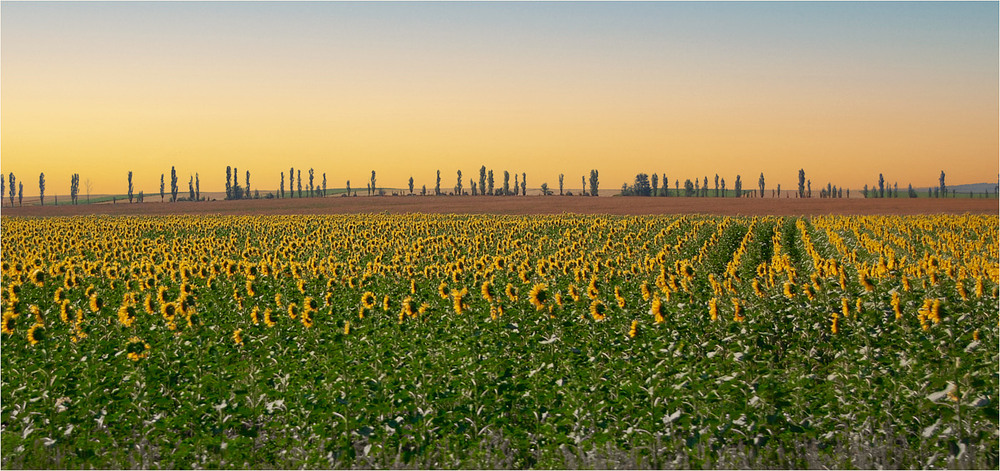 Фотографія Пейзаж / Stanislav / photographers.ua