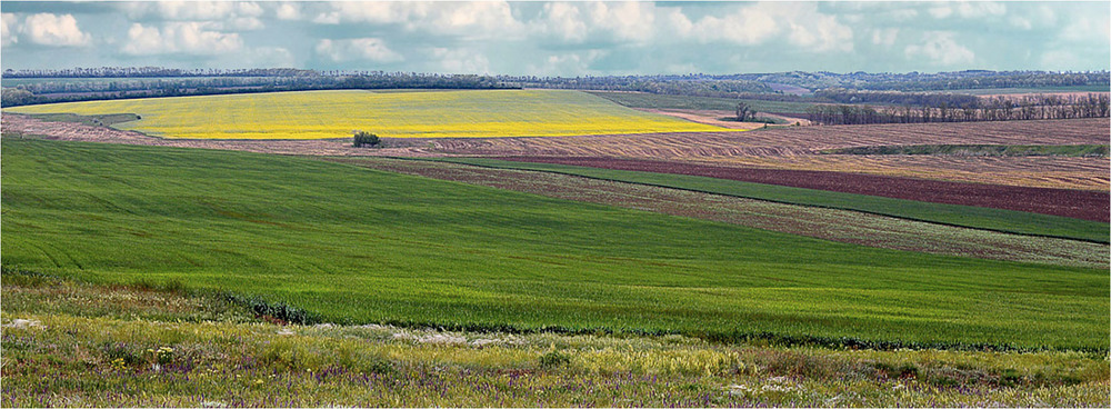 Фотографія Пейзаж / Stanislav / photographers.ua
