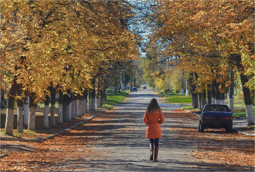 Фотографія Дорога в осінь / Stanislav / photographers.ua
