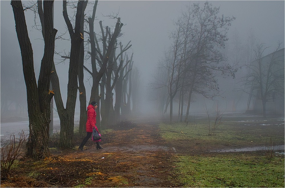 Фотографія 6.00, +5С, туман! Боже! Чому я не в теплому ліжку? / Stanislav / photographers.ua