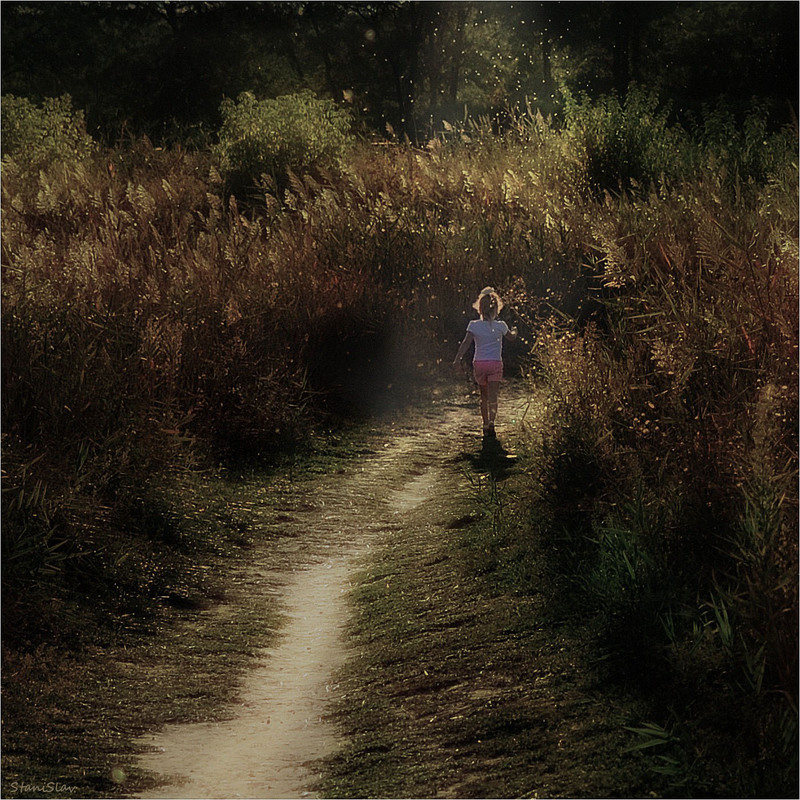 Фотографія Якщо довго йти по стежці... / Stanislav / photographers.ua
