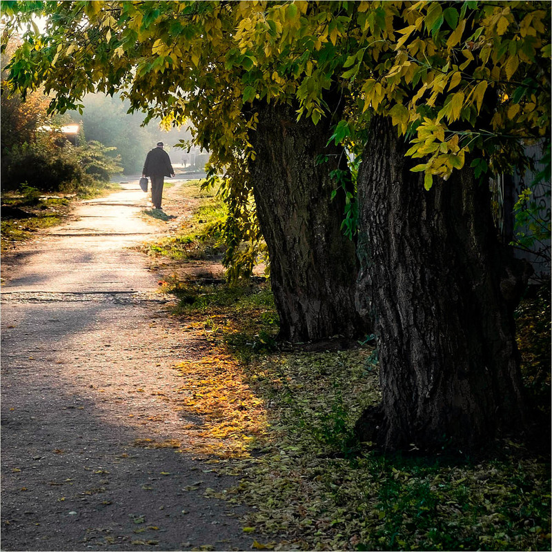 Фотографія Життя осінь, як і осінь року... / Stanislav / photographers.ua