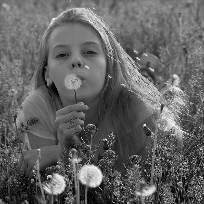 Фотографія Бажання від кульбабки / Stanislav / photographers.ua