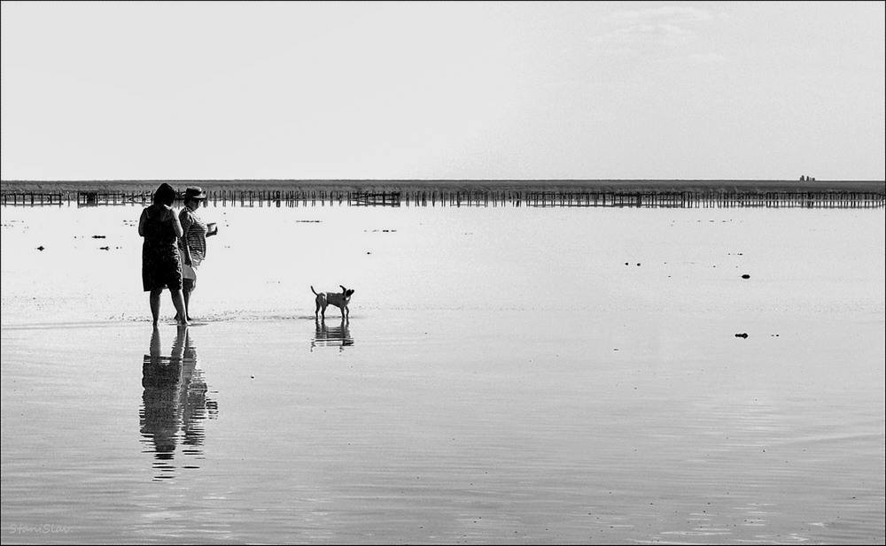 Фотографія Обережно! Дуже глибоко! Ідіть за мною слід в слід! / Stanislav / photographers.ua