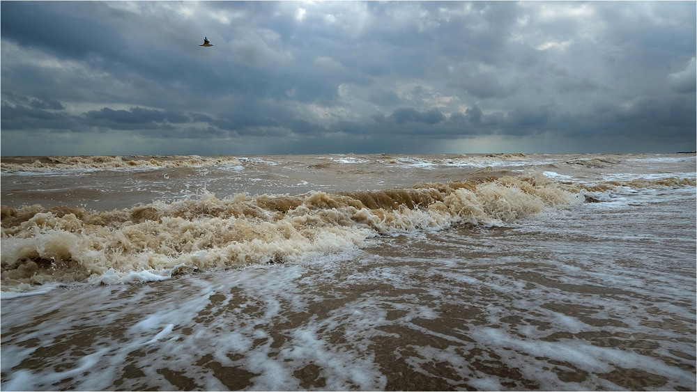 Фотографія Мілководний "штормик" / Stanislav / photographers.ua