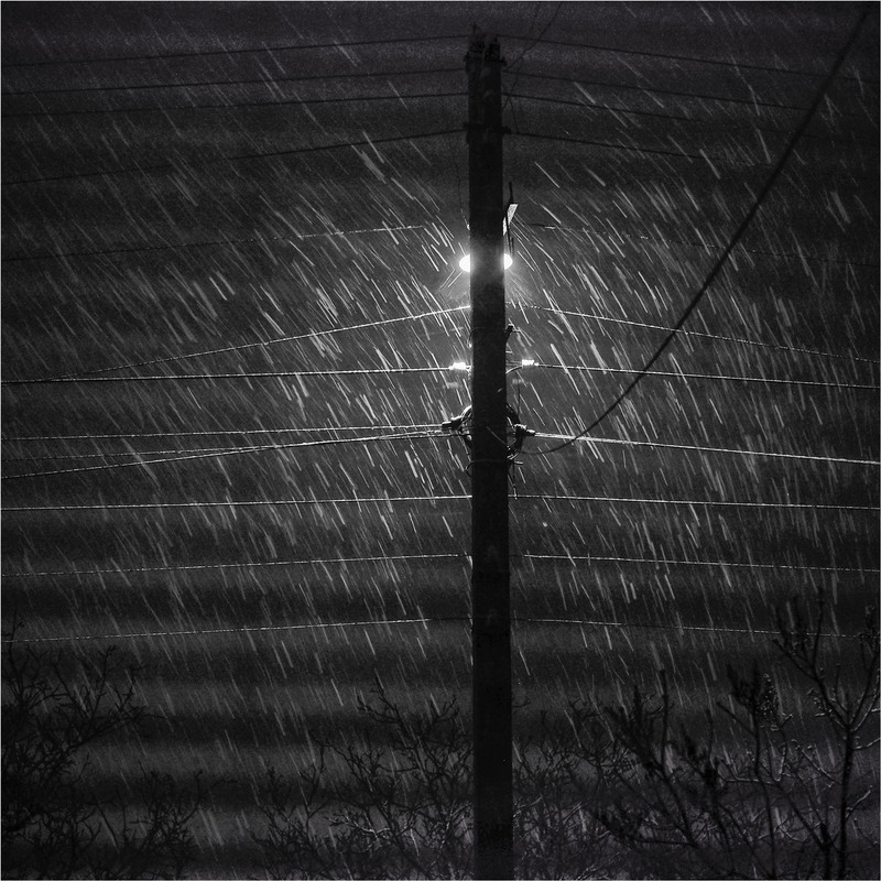 Фотографія Раптом сніг... / Stanislav / photographers.ua