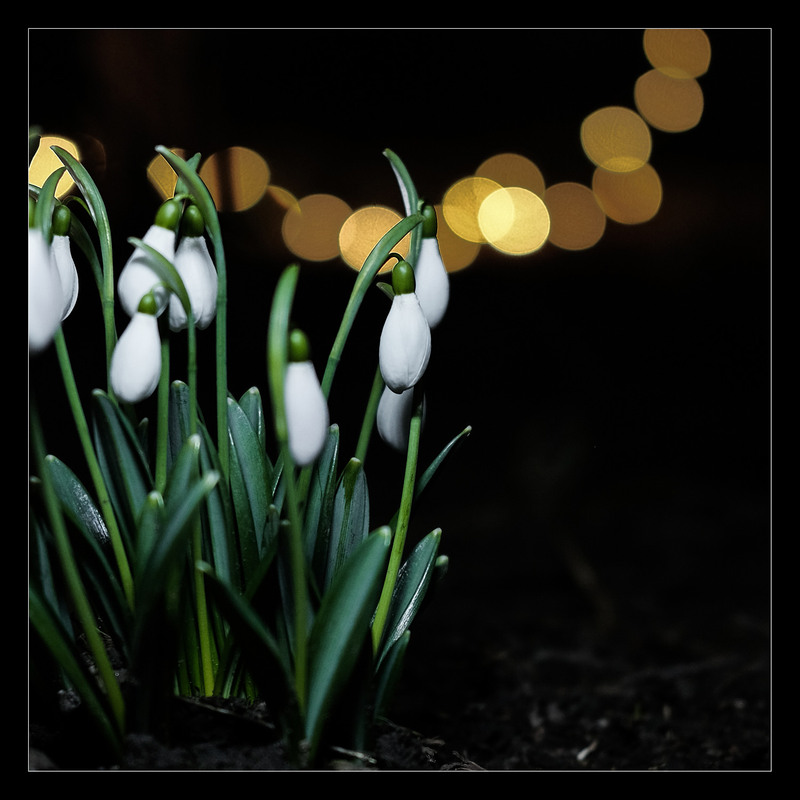 Фотографія Майже "12 місяців" / Stanislav / photographers.ua