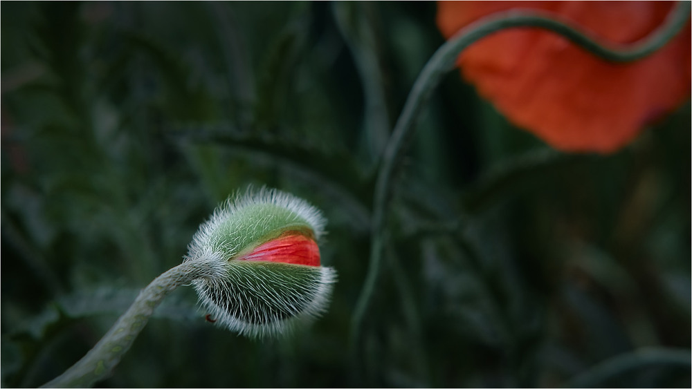 Фотографія Прозріння / Stanislav / photographers.ua