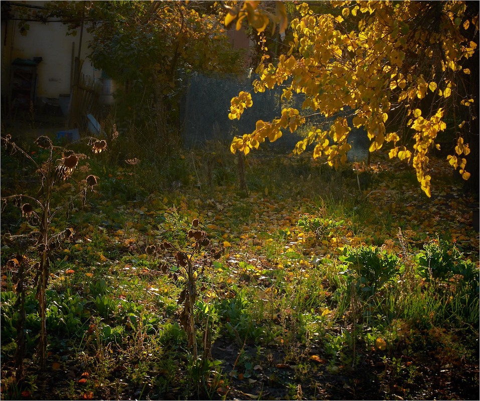 Фотографія Обійстя Осені... / Stanislav / photographers.ua