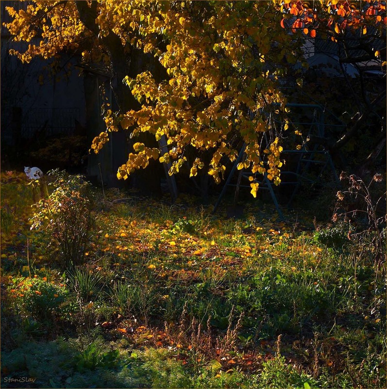 Фотографія Вранішня замальовка / Stanislav / photographers.ua