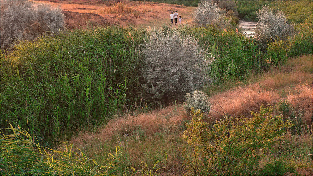 Фотографія Релакс після денної спеки / Stanislav / photographers.ua