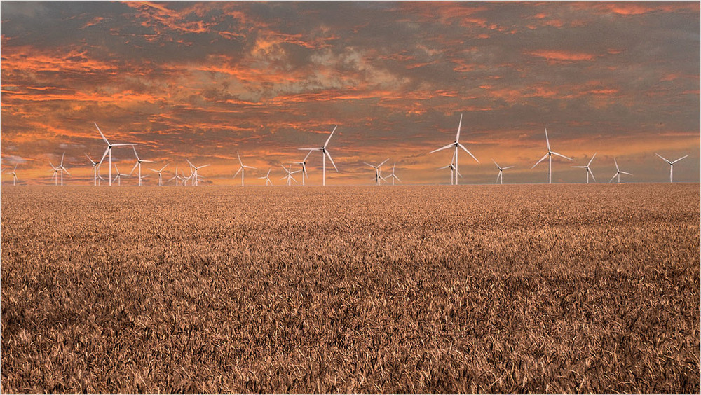 Фотографія Альтернатива / Stanislav / photographers.ua