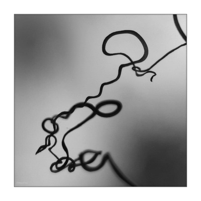 Фотографія Винорадна каліграфія / Stanislav / photographers.ua