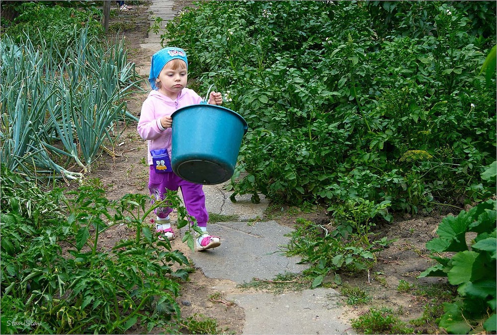 Фотографія Попелюшка на "відпочинку" у бабусі. Накопай, почисть,принеси,зірви. :=) / Stanislav / photographers.ua