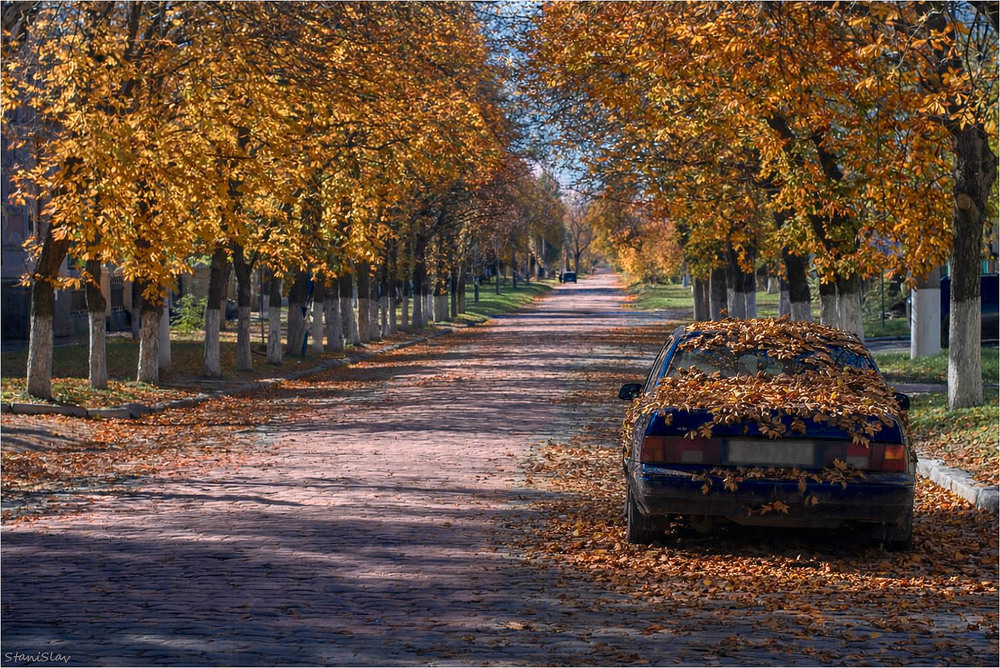 Фотографія Осінь / Stanislav / photographers.ua