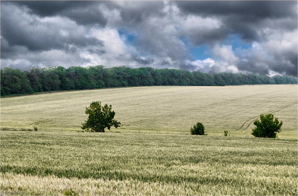 Фотографія Біла хмара, чорна хмара Ми з тобою пара, може і не пара / Stanislav / photographers.ua