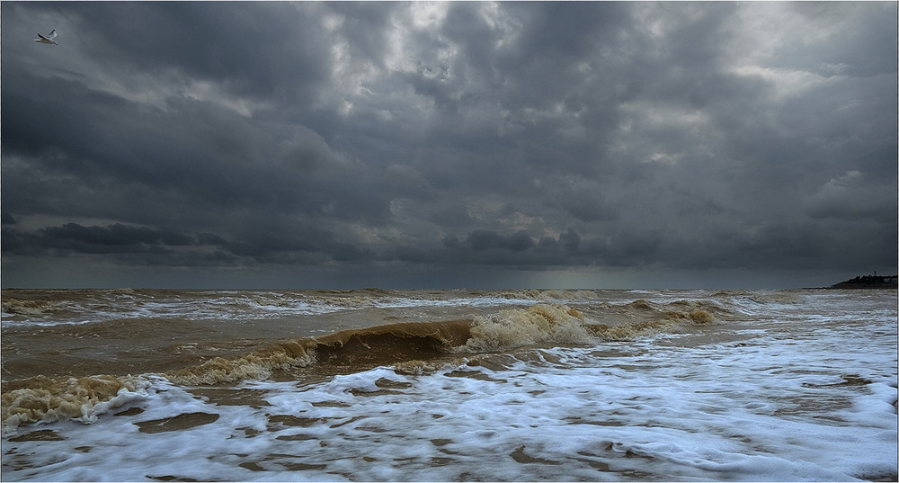 Фотографія Це оксамитовий сезон? / Stanislav / photographers.ua