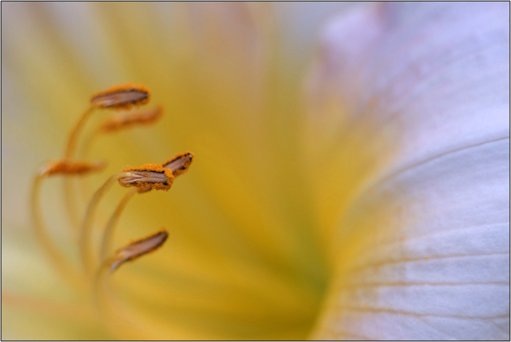 Фотографія Спека / Stanislav / photographers.ua