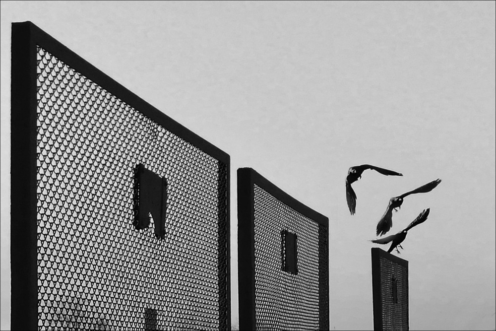 Фотографія Разное / Stanislav / photographers.ua