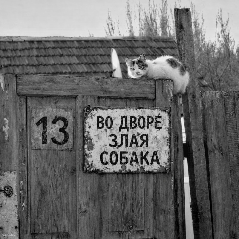 Фотографія П'ятниця! Тринадцяте! / Stanislav / photographers.ua