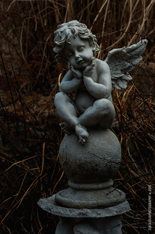 Фотографія Angel dream / Злата-Юлия Селихова / photographers.ua