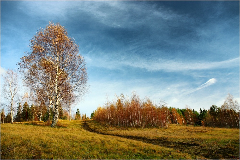Фотографія ...осіння / Ginda Rostyslav / photographers.ua