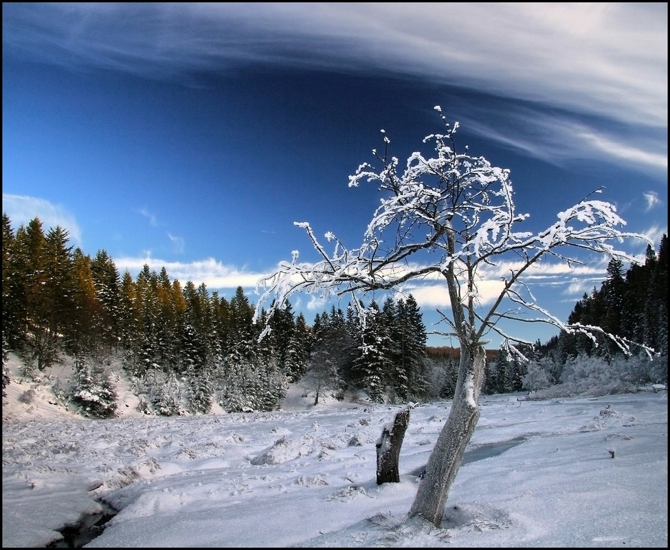 Фотографія Зимовий етюд... / Ginda Rostyslav / photographers.ua