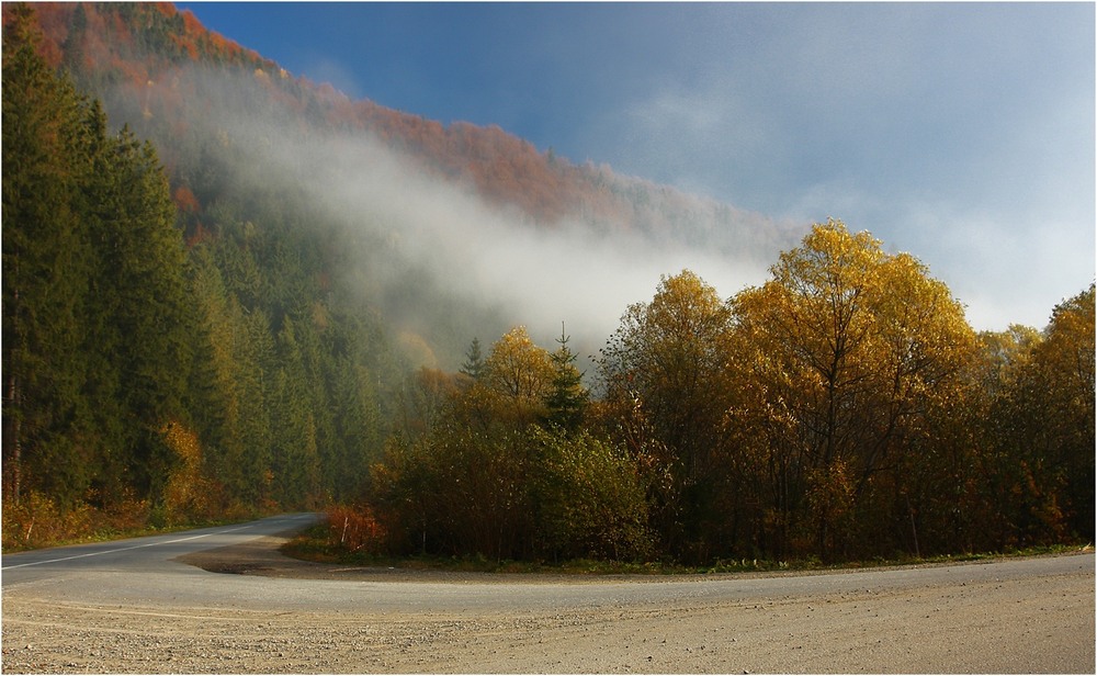 Фотографія autumn road... / Ginda Rostyslav / photographers.ua