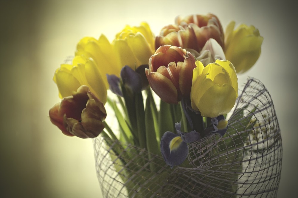 Фотографія март без тюльпанов-не март=) / Irina Kozak / photographers.ua