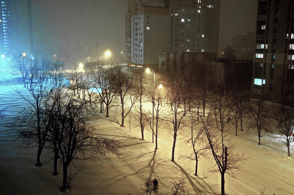 Фотографія последний снегопад / ЦИЛЫК ВИКТОР / photographers.ua