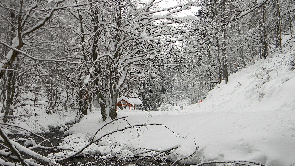 Фотографія Пилипец / Вадимчик 69 / photographers.ua